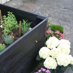 Sort plantekasse med forskellige grønne urter og blomster, dariblandt lyserøde blomster og lysegule hortensiaer, på en grusbelagt sti.