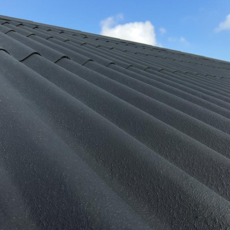 Sort flot tag malet med tagmaling fra Morsø Maling efter at have læst guiden 